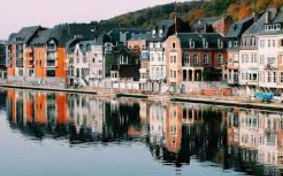 Maison Fontaine Du Saxophone Dinant Dış mekan fotoğraf